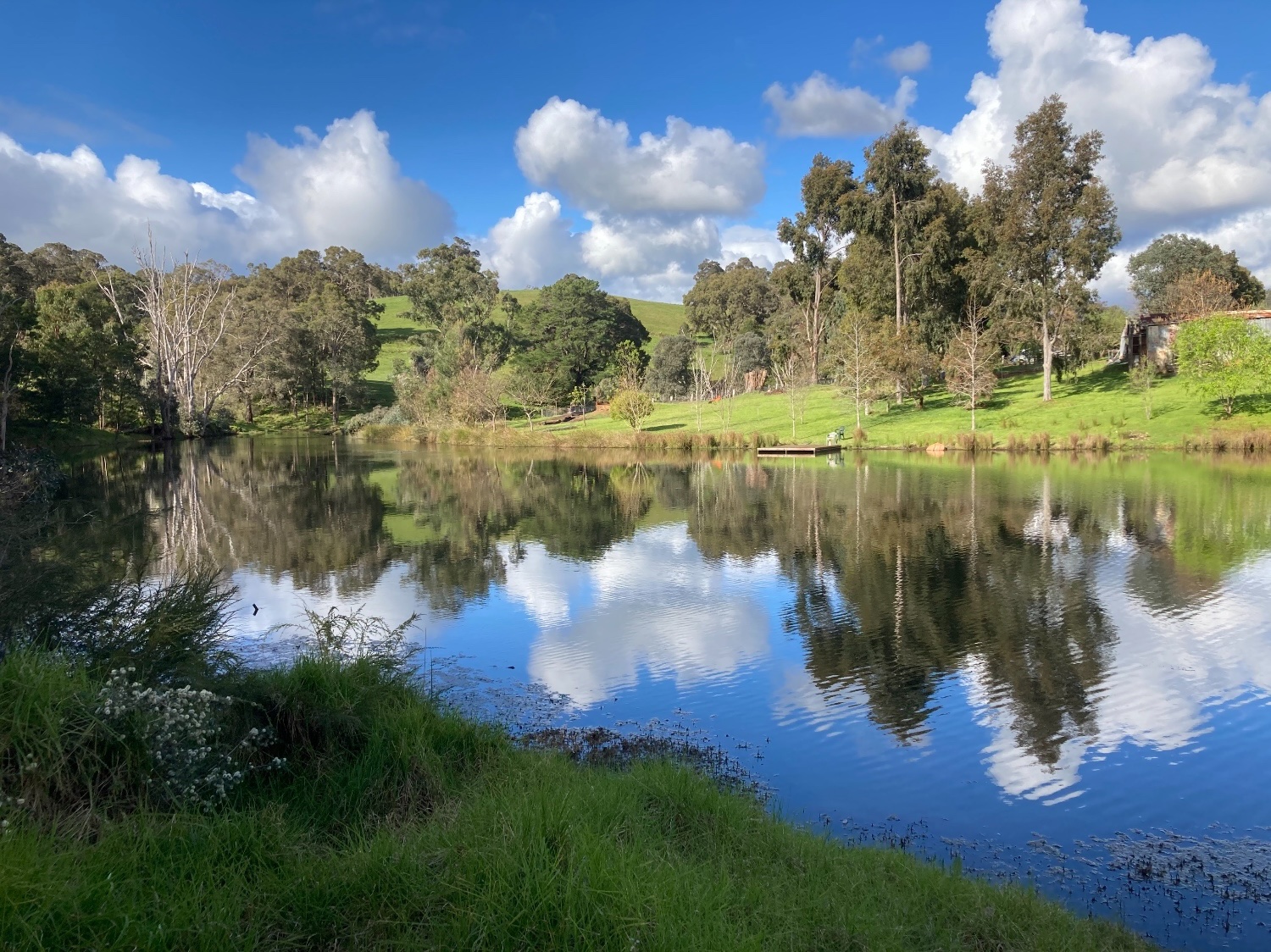 Overlooking dam to farm house and vines